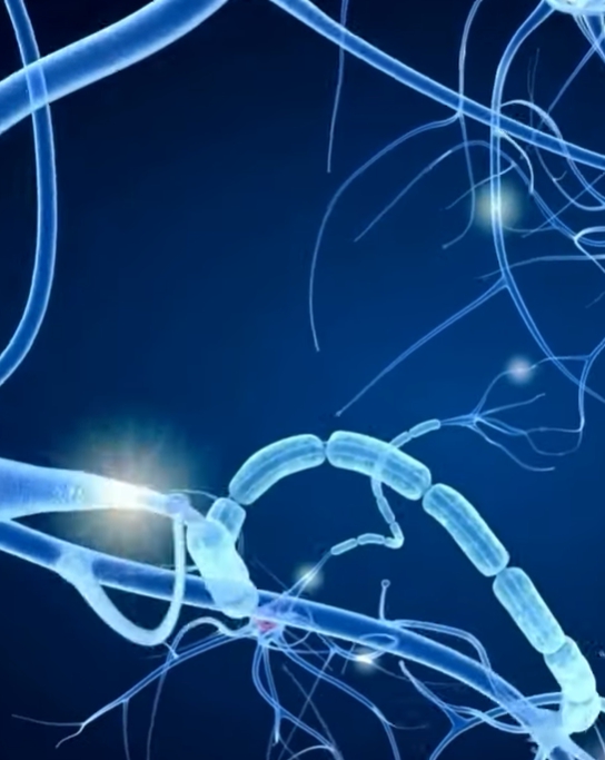 녹내장 초기증상