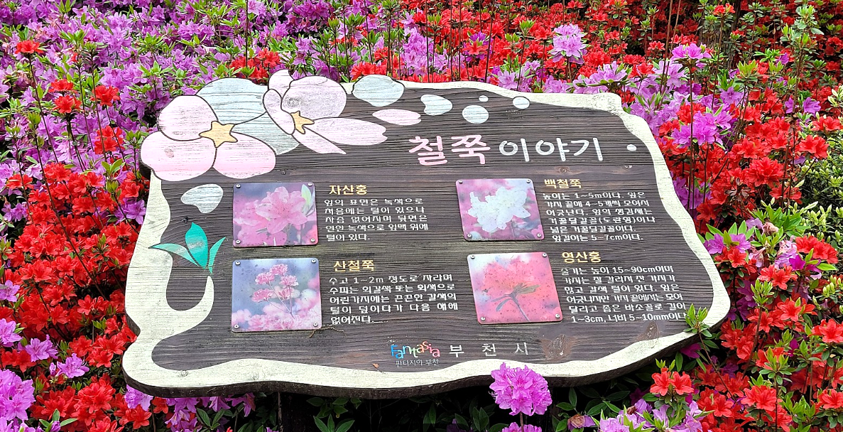 철쭉공원 안내 사진