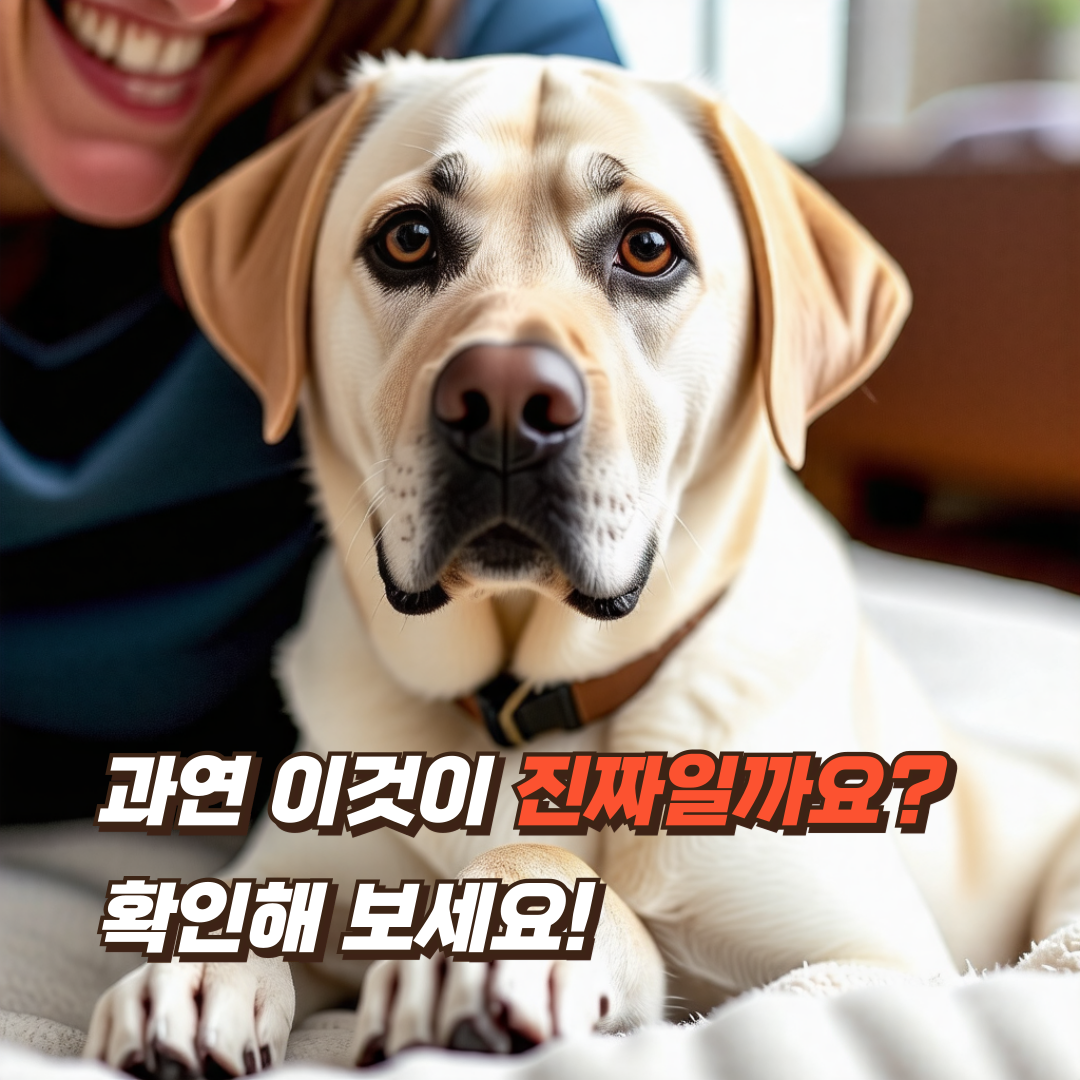 헬리코박터-파일로리