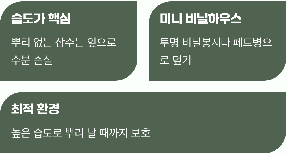 가장 중요한 마지막 관문, 습도 유지