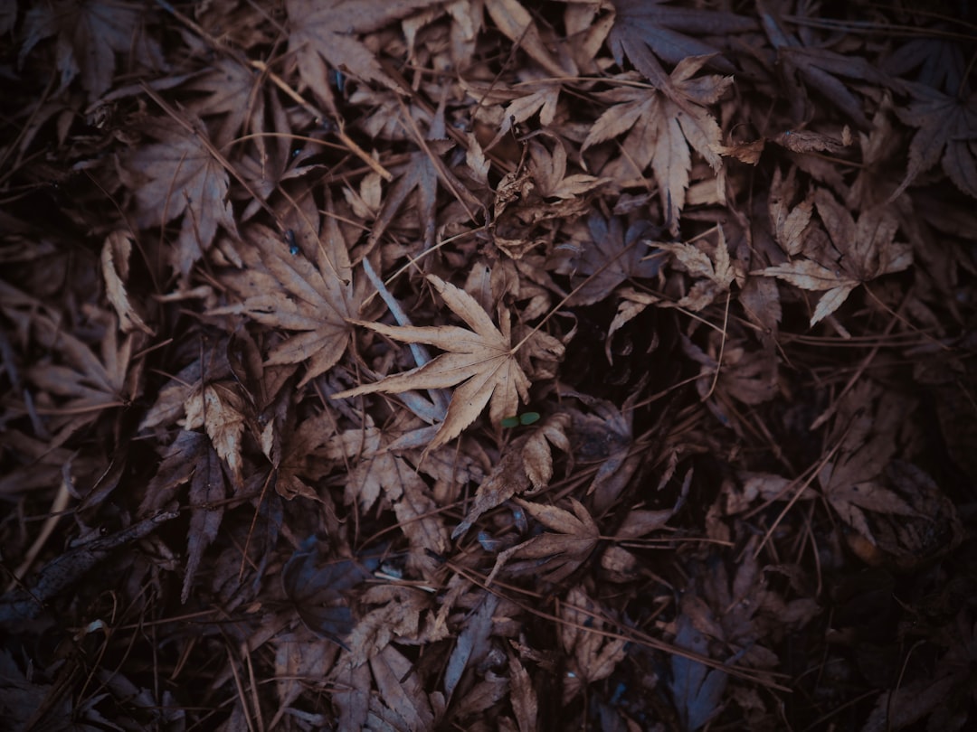 북수원 자이 렉스비아 줍줍: 2025년 청약 기회와 완벽 가이드 관련 이미지 1