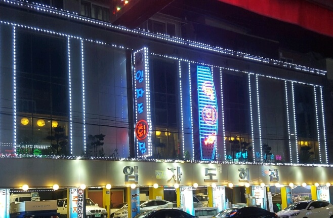 임자도회집