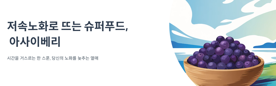 저속노화로 뜨는 슈퍼푸드, 아사이베리 항산화의 비밀