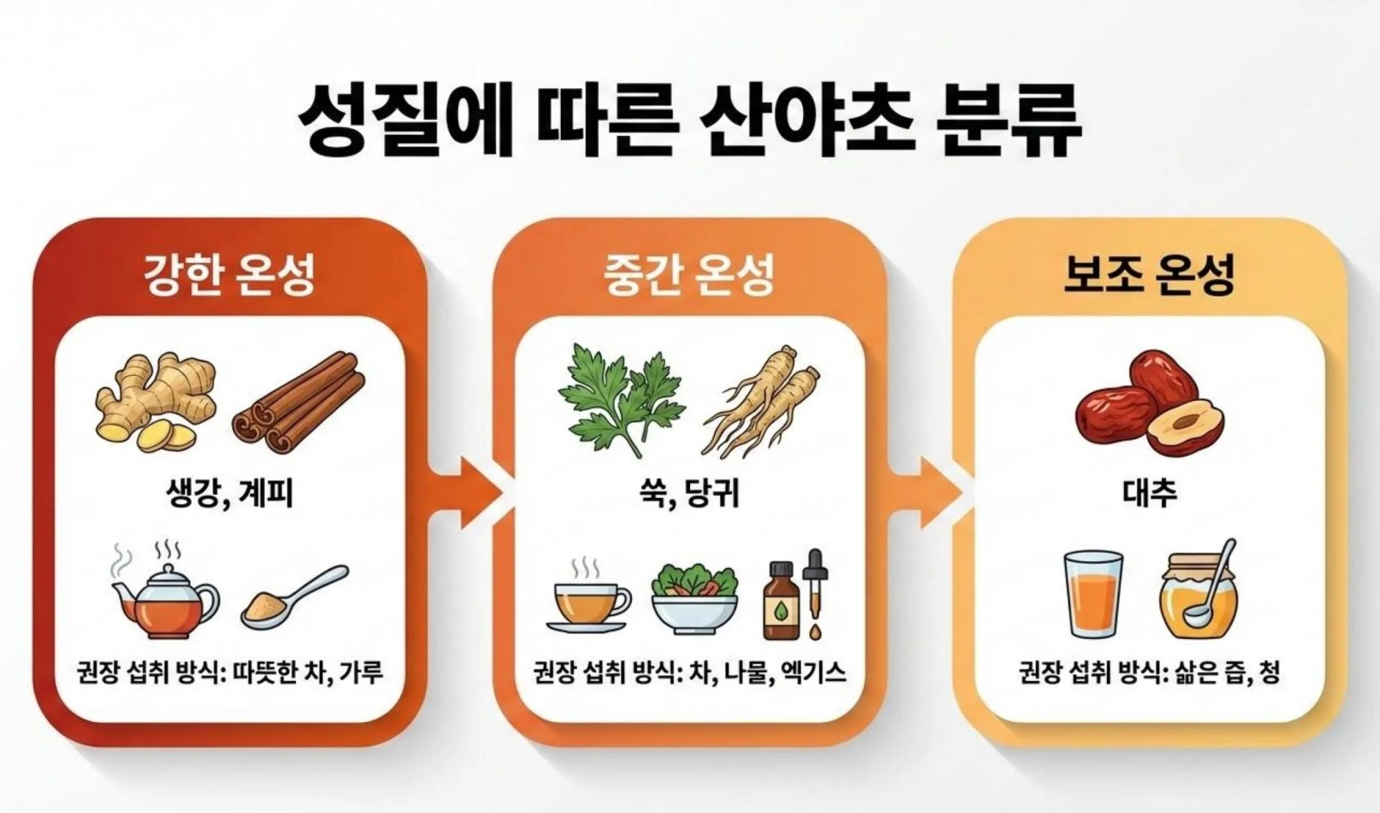 강한 온성(생강, 계피), 중간 온성(쑥, 당귀), 보조 온성(대추)에 따른 산야초 분류 가이드