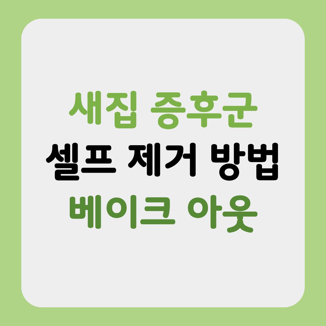 새집 증후군 셀프 제거하는 방법을 알려주는 글의 썸네일