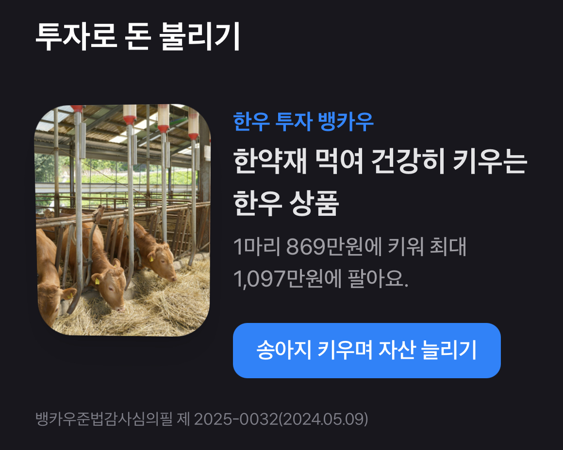 화제의 투자 방법