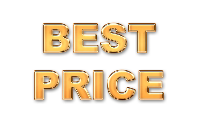 블랙프라이데이 가전제품 세일을 최대한 활용하는 법