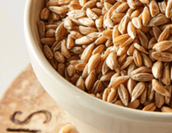 혈당_GI지수_낮은_ 쌀