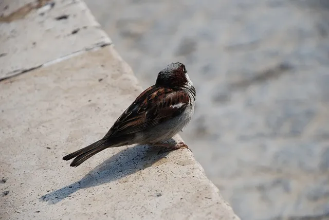 로서 로써 차이 쓰임새 예문 맞춤법_3