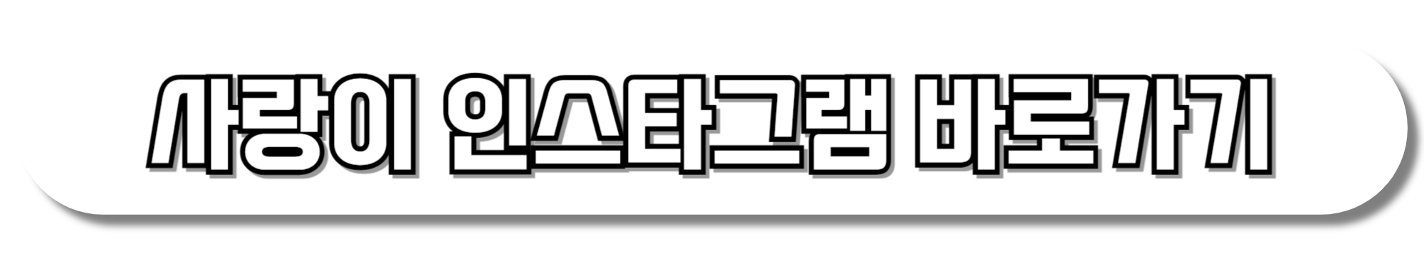 사랑이-인스타그램-바로가기