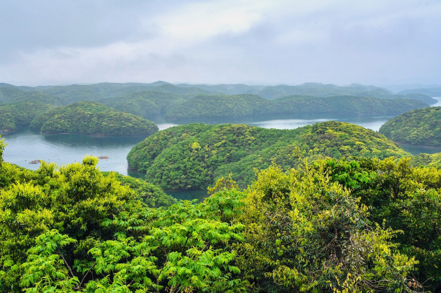 대마도 여행 가이드 2025 – 가깝지만 색다른 일본 섬 여행