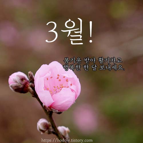 3월-인사말-이미지