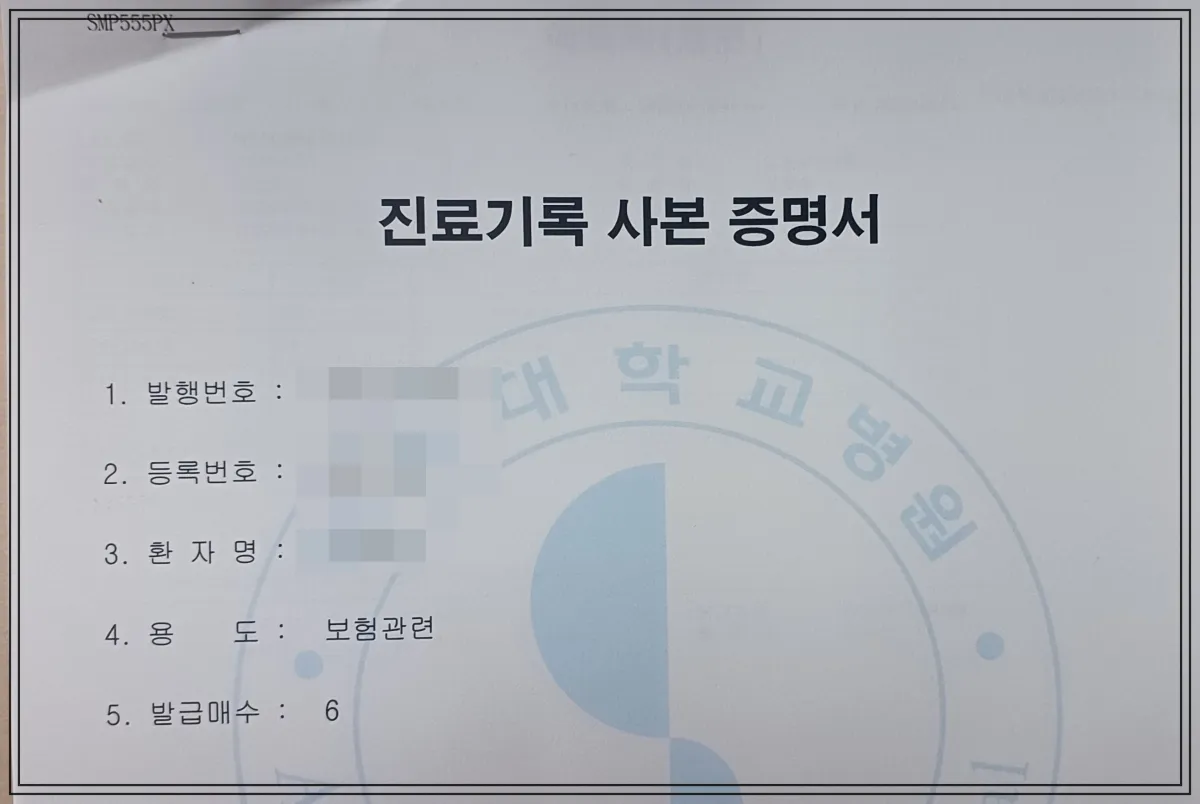 성조숙증-진단검사를-받은-진료기록사본증명서-발행번호-등록번호-환자명-용도-발급매수-등이-적혀-있다