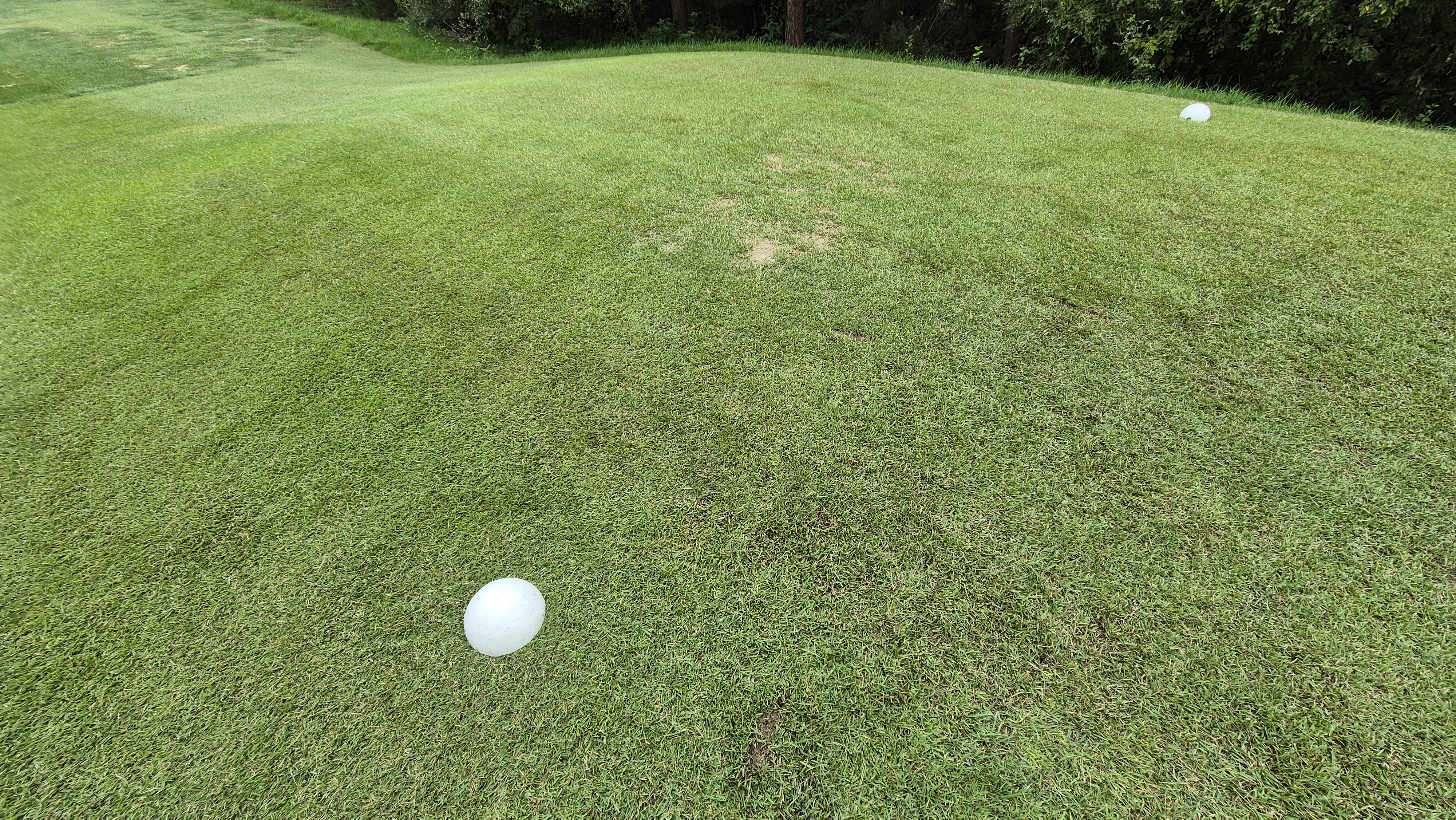 서산수cc 티잉구역 상태