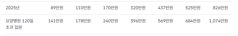 2025년 본인부담상한액