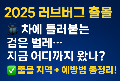 러브버그 출몰 관련 사진
