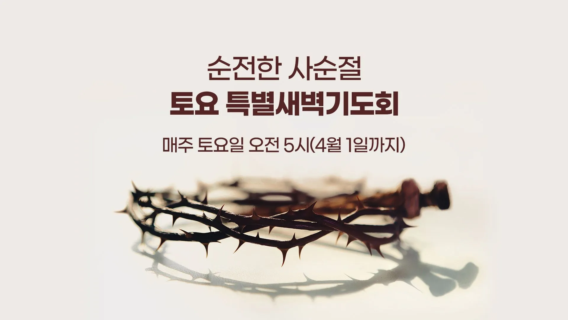 사순절 특별새벽기도회 기도문 묵상집 모음_4