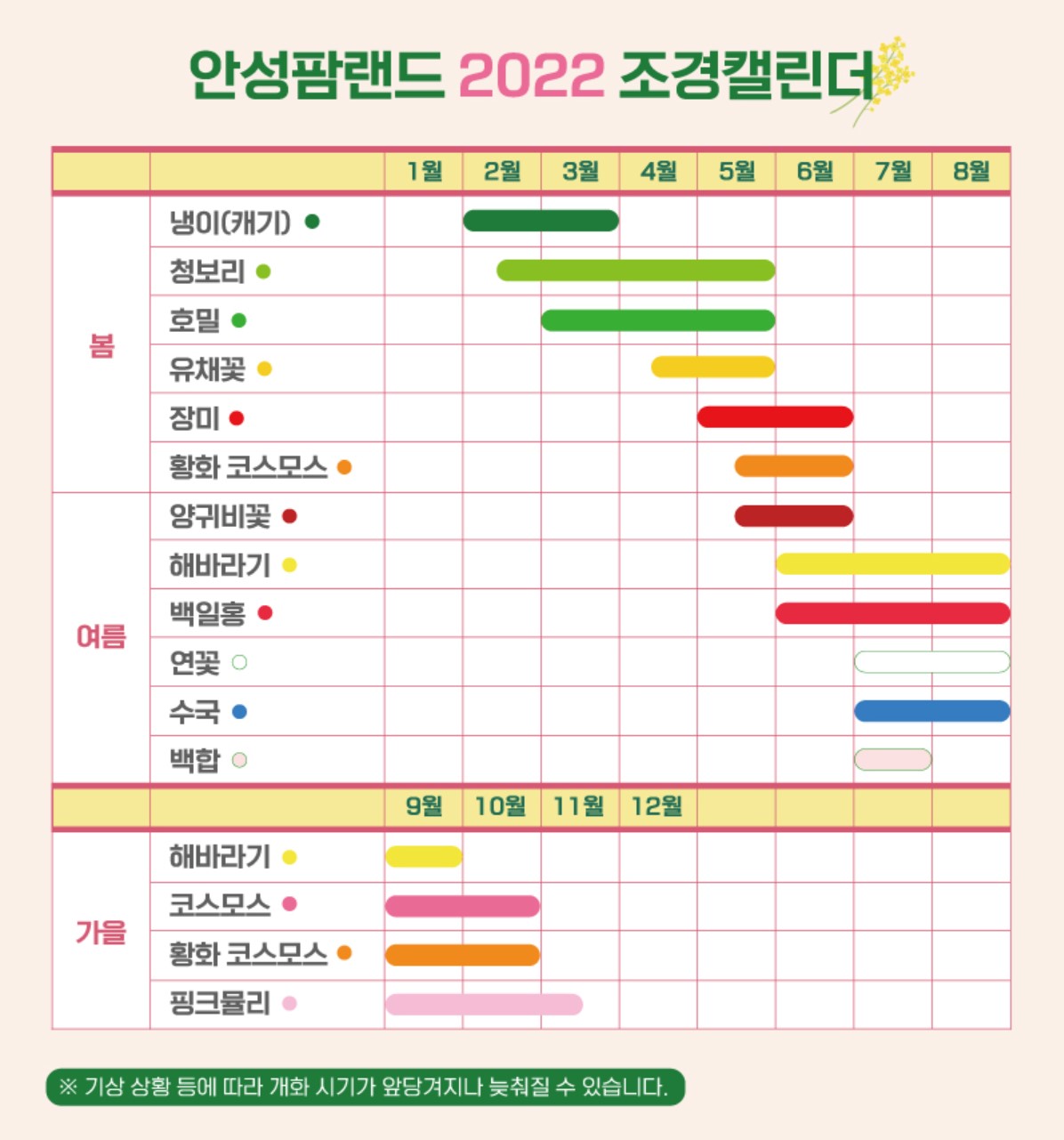핑크뮬리