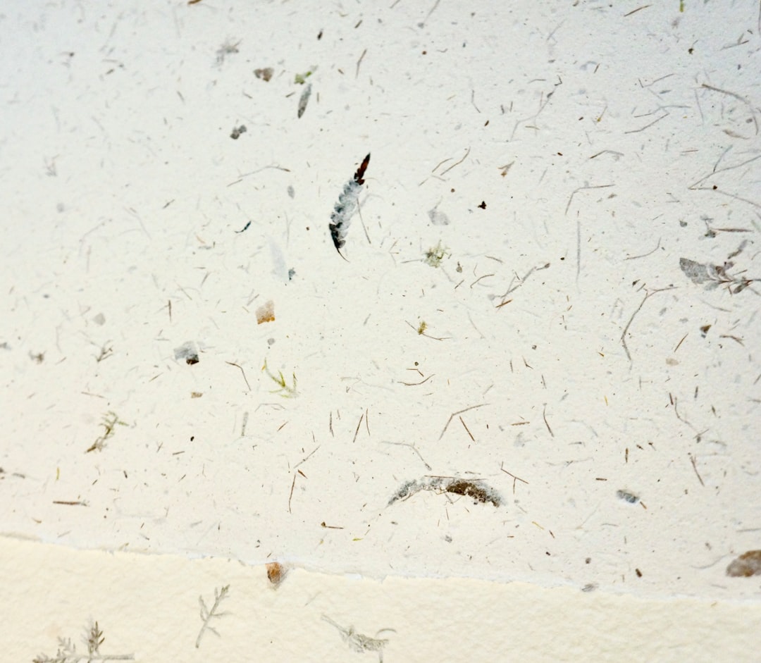 Dust mite
