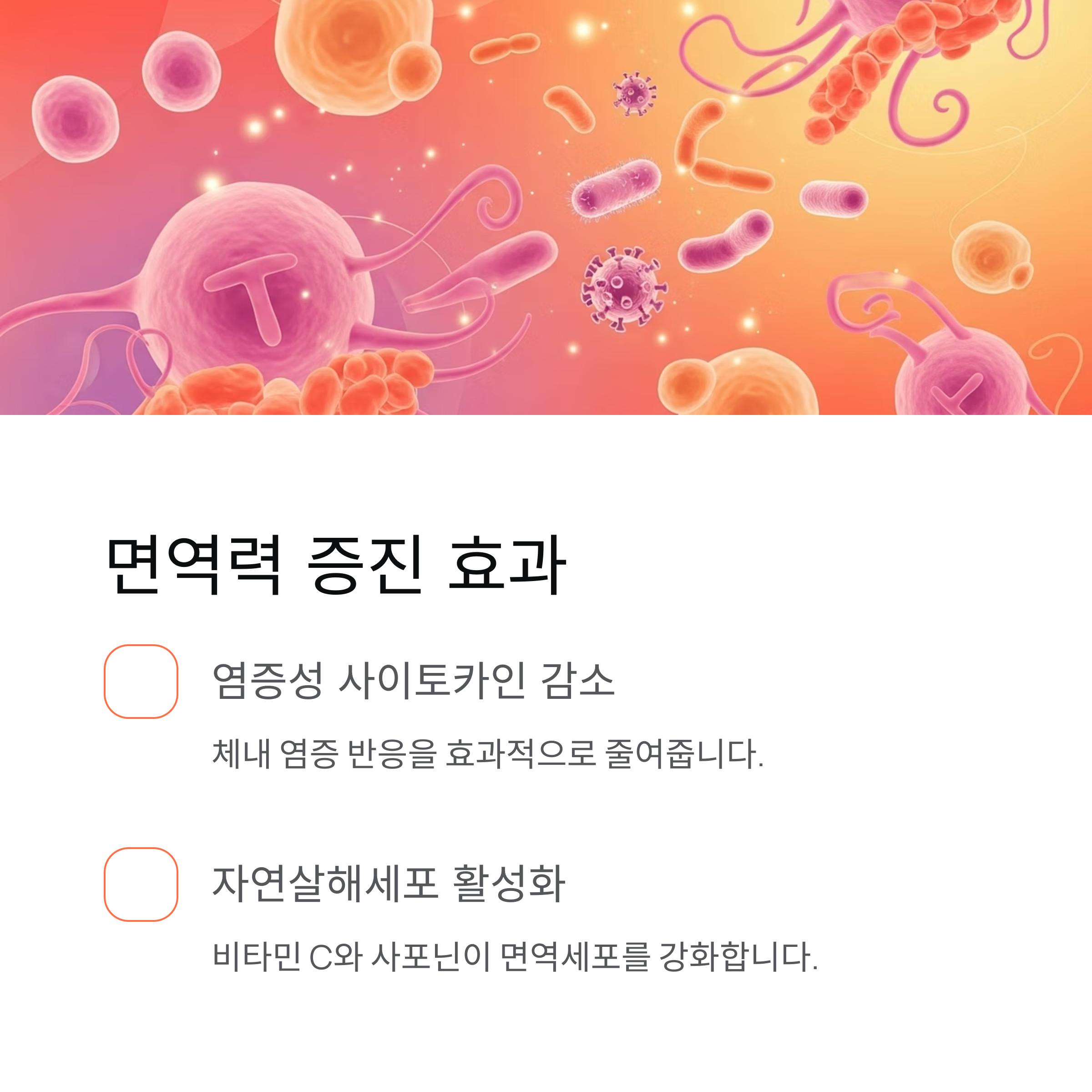 면역력 증진 효과