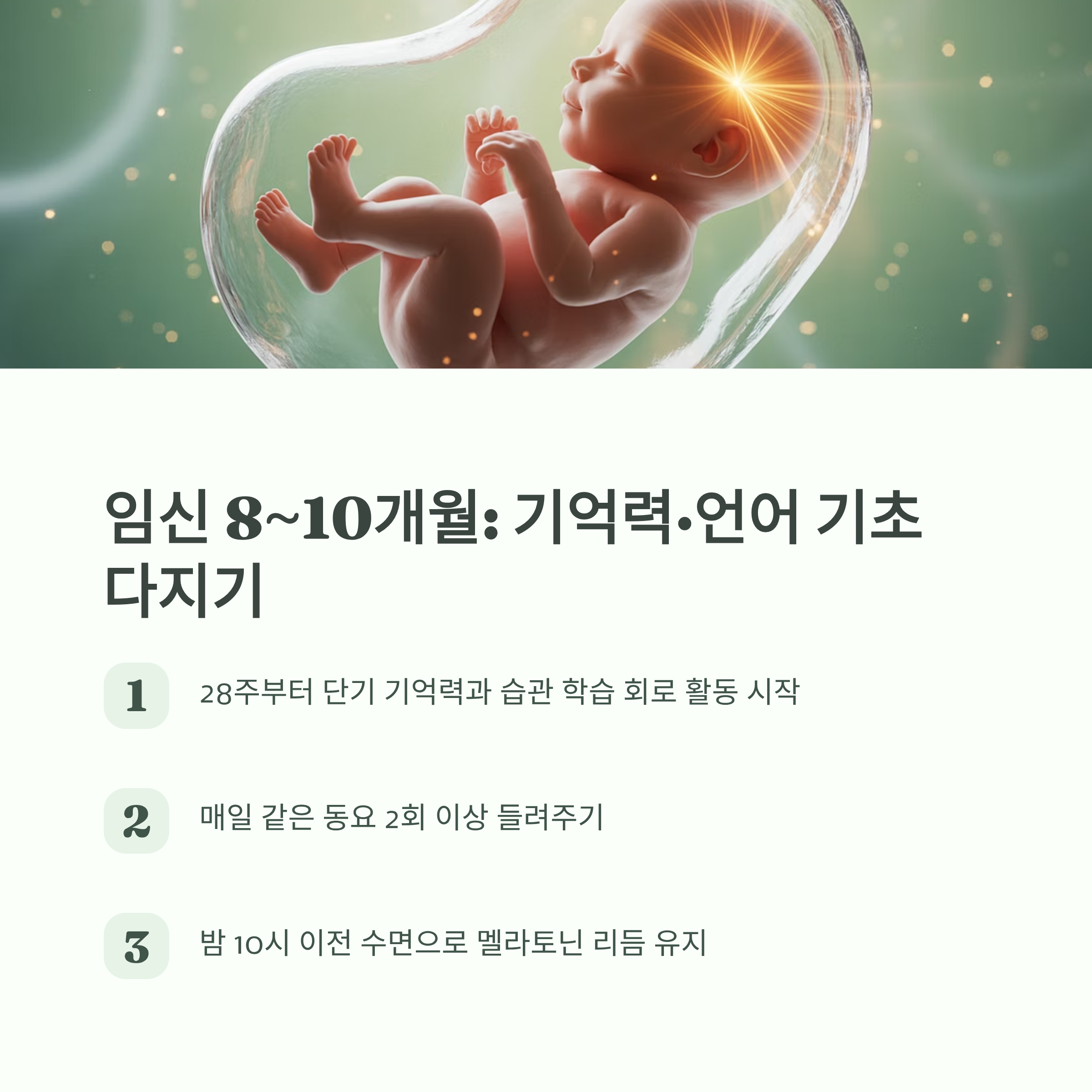 임신 8~10개월 동안 기억력과 언어 기초가 형성되는 시기를 설명한 인포그래픽. 동요 반복 듣기, 일정한 수면 습관의 중요성을 강조