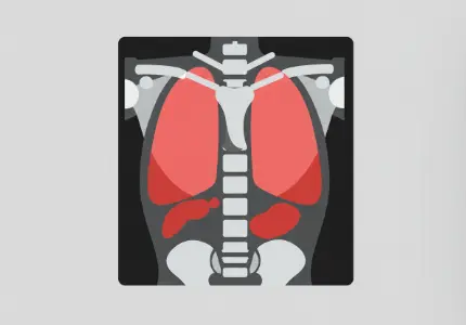 암환자 보호자의 역할