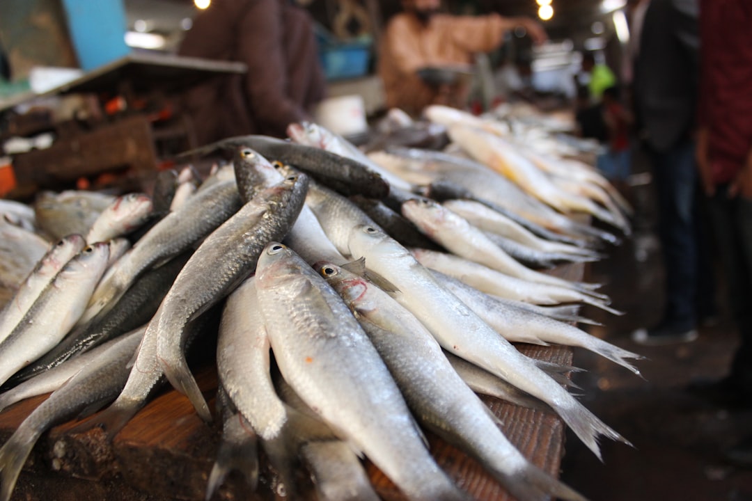 Fish market