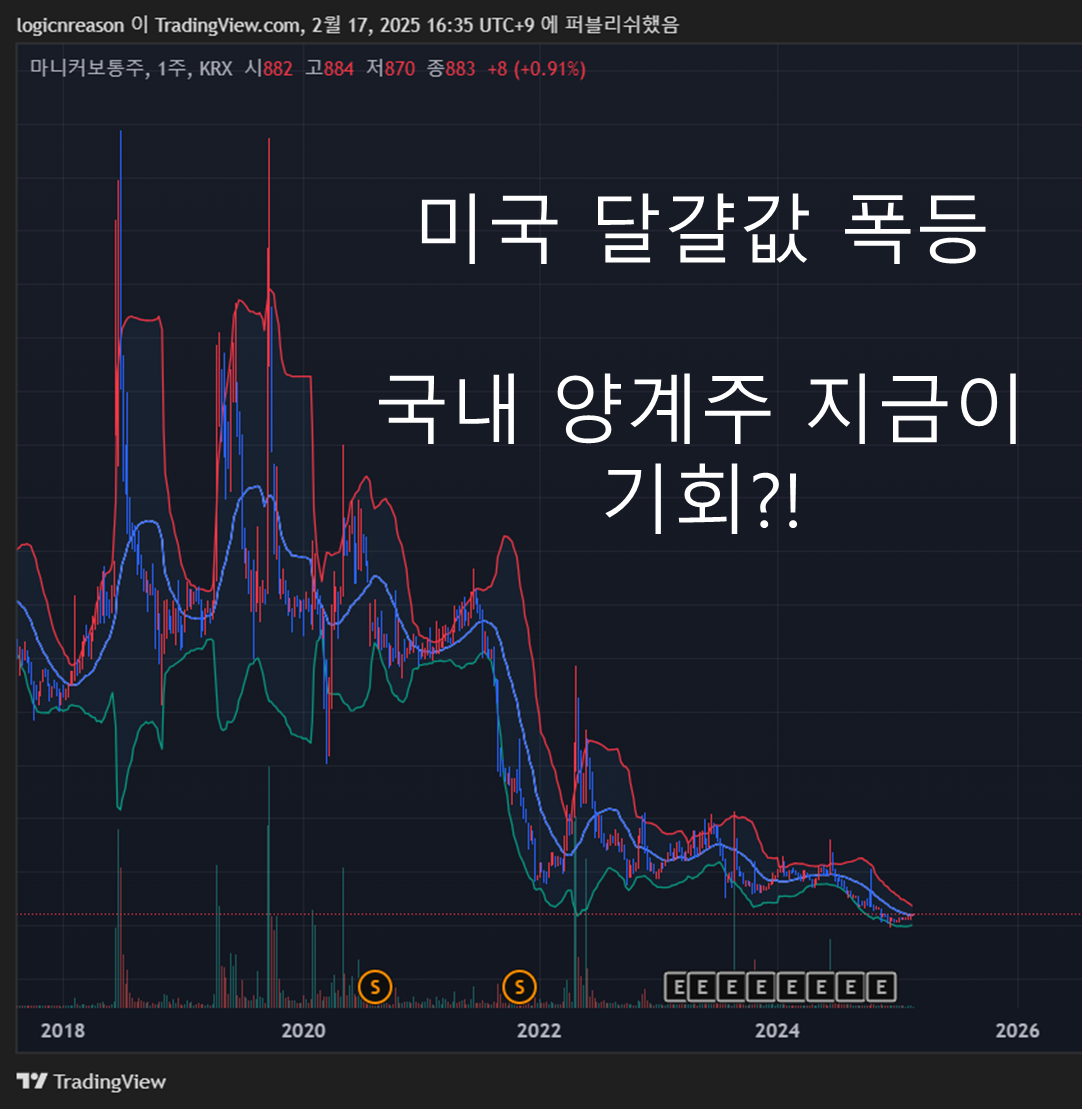 미국 달걀값 폭등, 국내 양계주 지금이 기회?!
