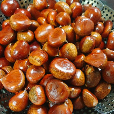 삶은밤 보관하는 방법6