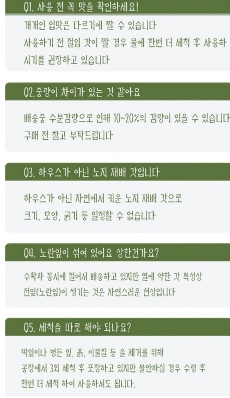 여수돌산갓