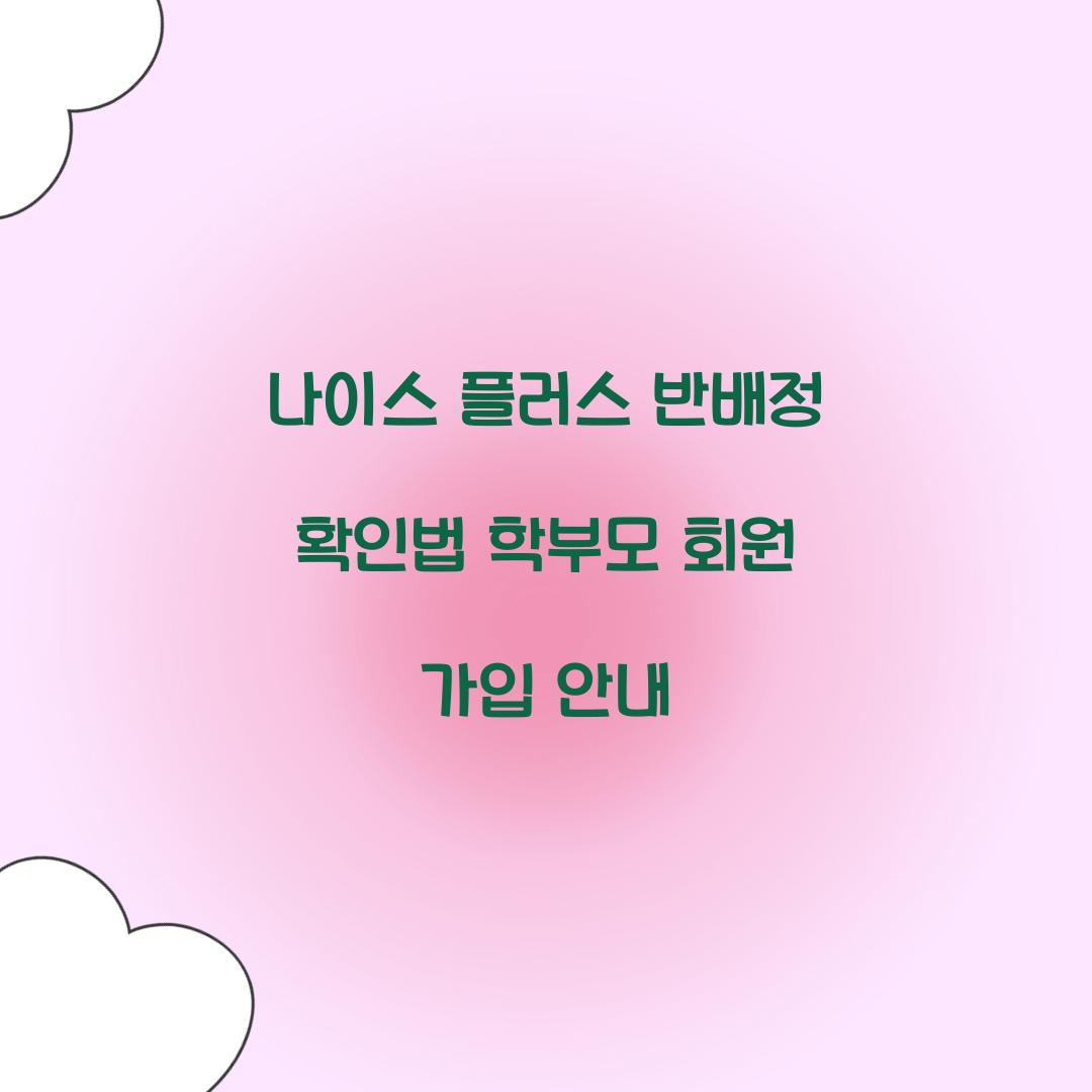 나이스 플러스 반배정