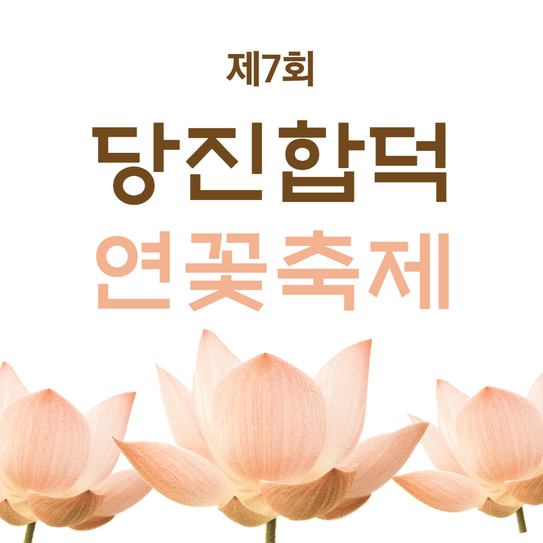 제7회 당진합덕 연꽃축제 소개