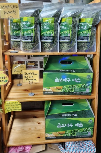 곰보배추잎