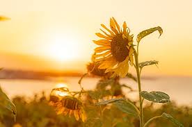 8월 제주도 가볼만한곳10곳