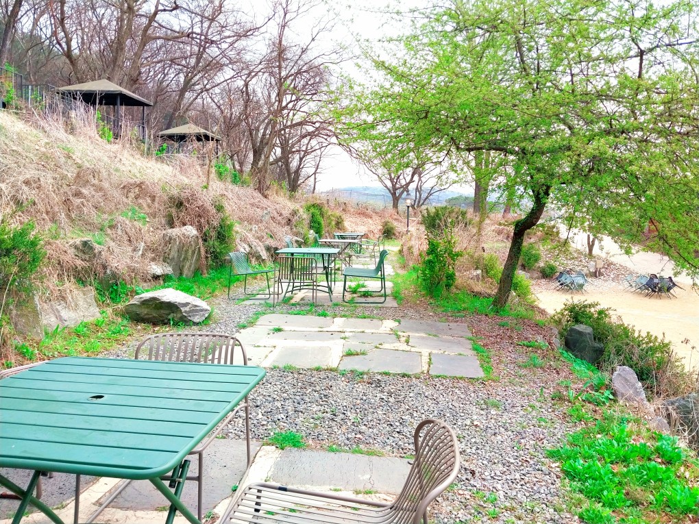 파주가볼만한 곳: 마롱리면사무소 카페, 율곡수목원 근처 정원 카페