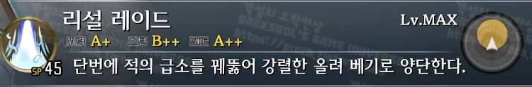 스킬 리설 레이드