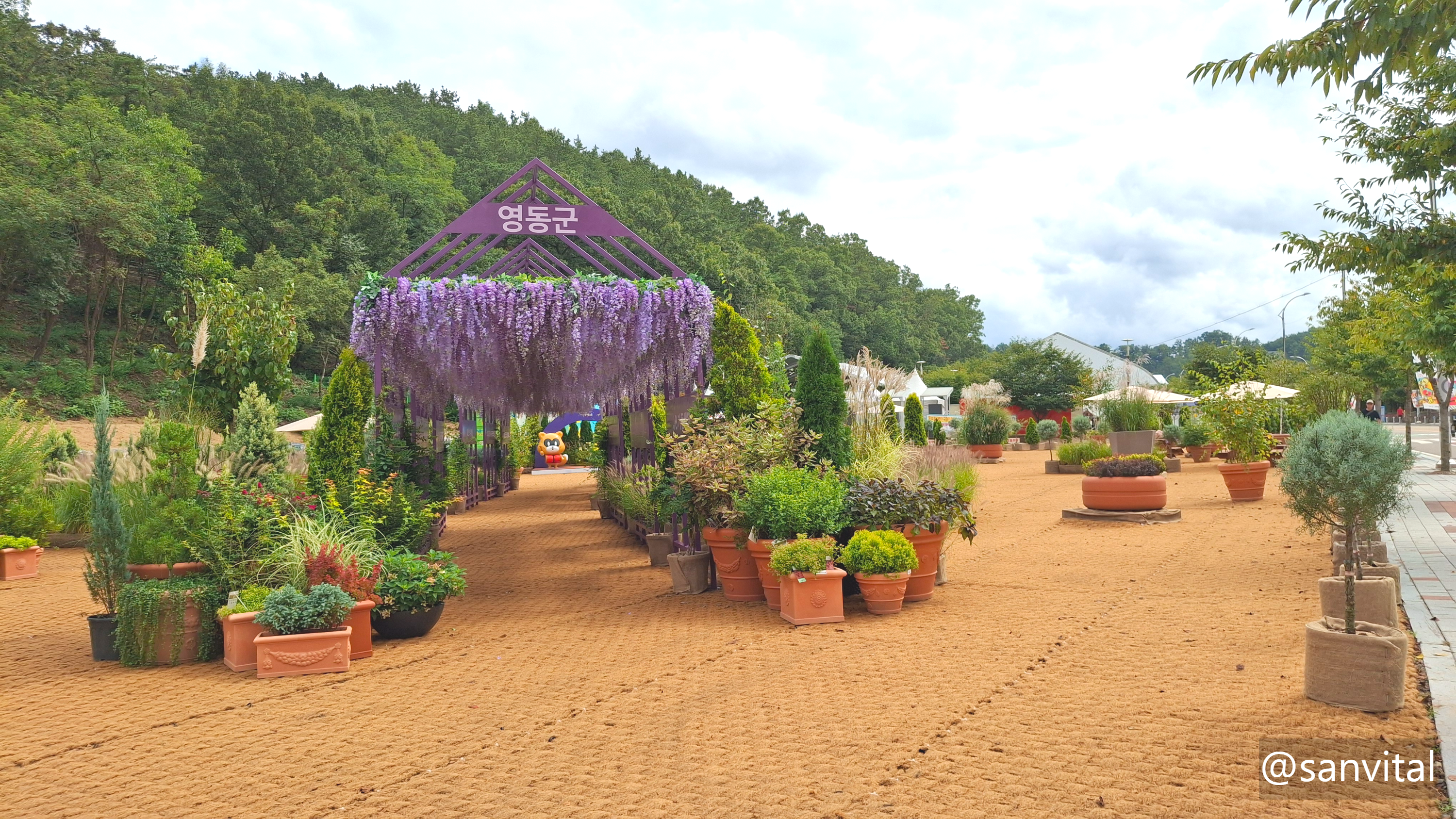 영동 대한민국와인축제