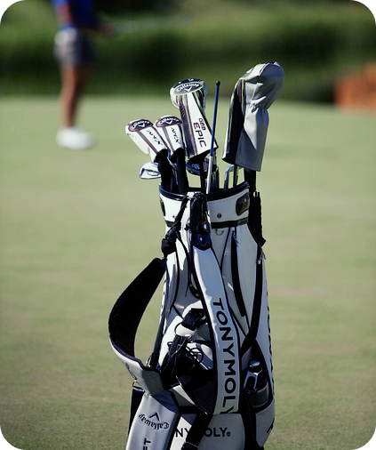 골프가방