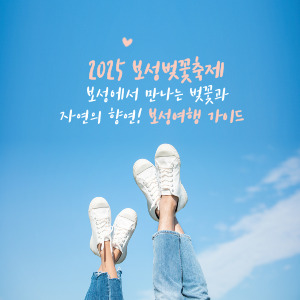 보성에서 만나는 벚꽃과 자연의 향연