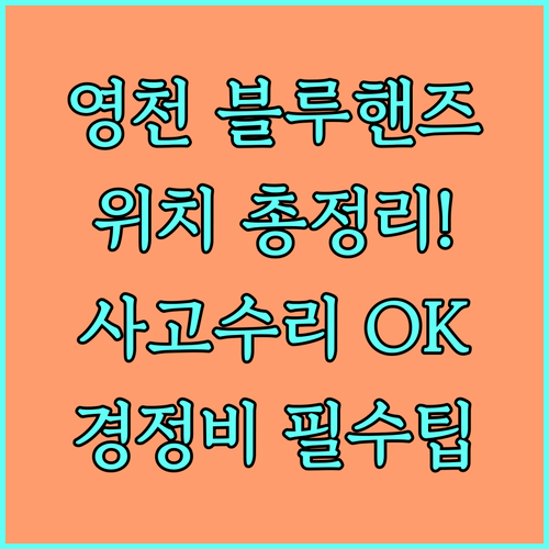 영천 블루핸즈 지점별 위치와 사고 수..
