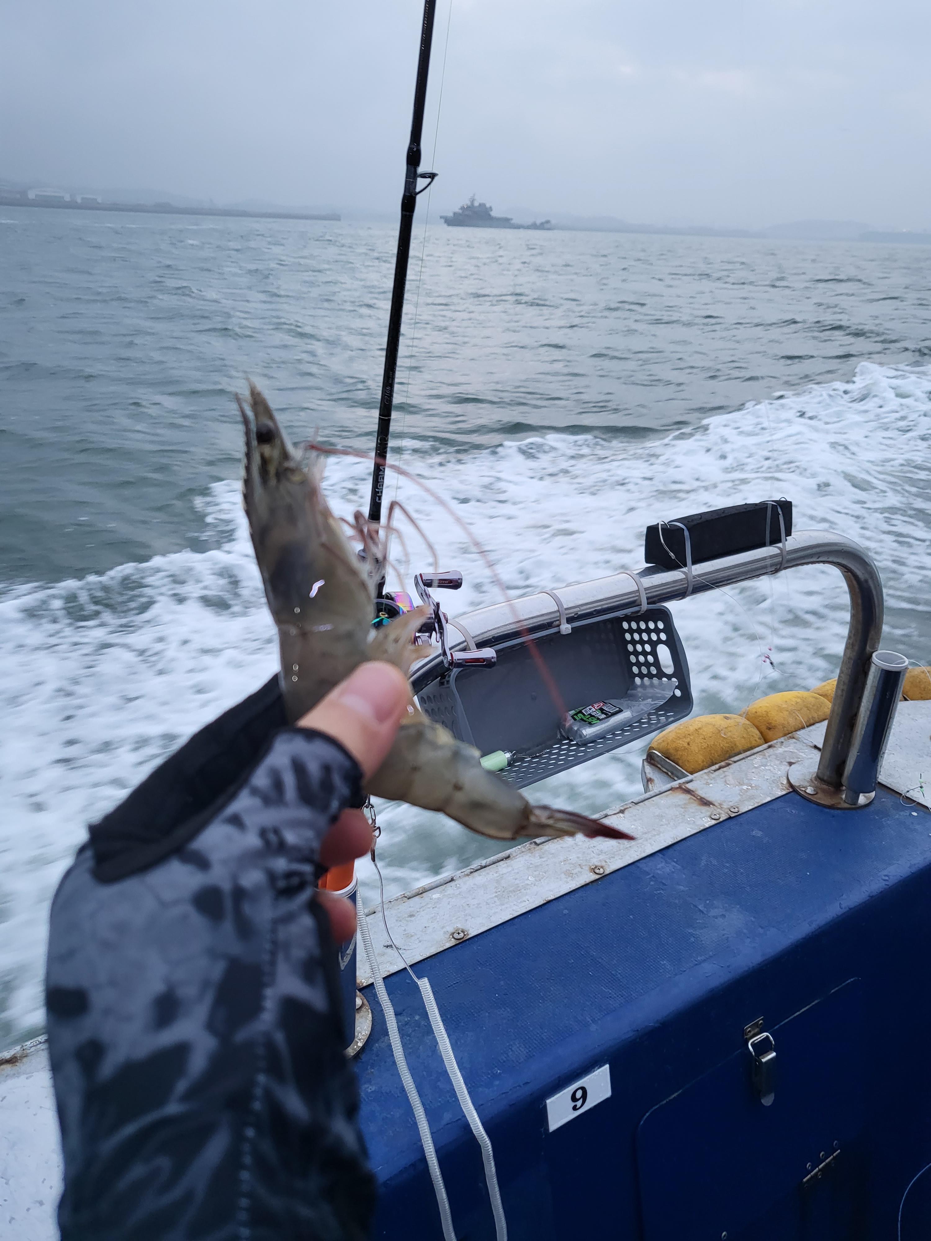 평택항 수복호 농어 출조