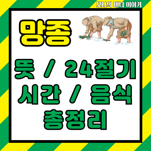 망종 뜻 24절기 시간 음식 총정리