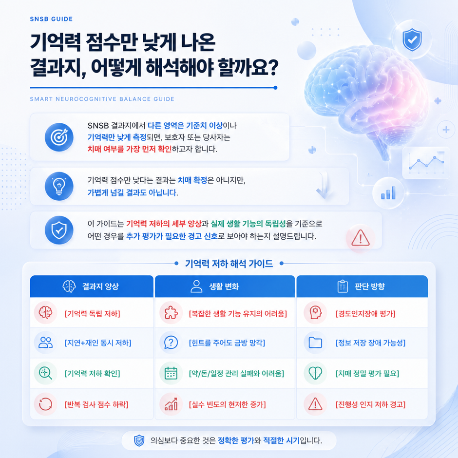 기억력 점수만 낮게 나온 SNSB 결과 해석 인포그래픽, 뇌 이미지와 평가 기준 안내
