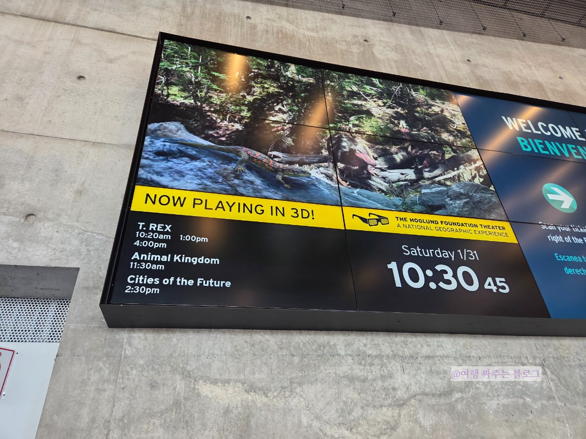 #달라스여행 #댈러스여행 #페롯뮤지엄 #페롯박물관