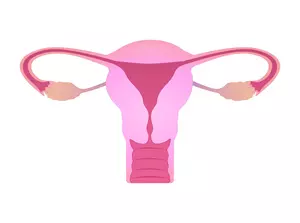 반응성-세포변화