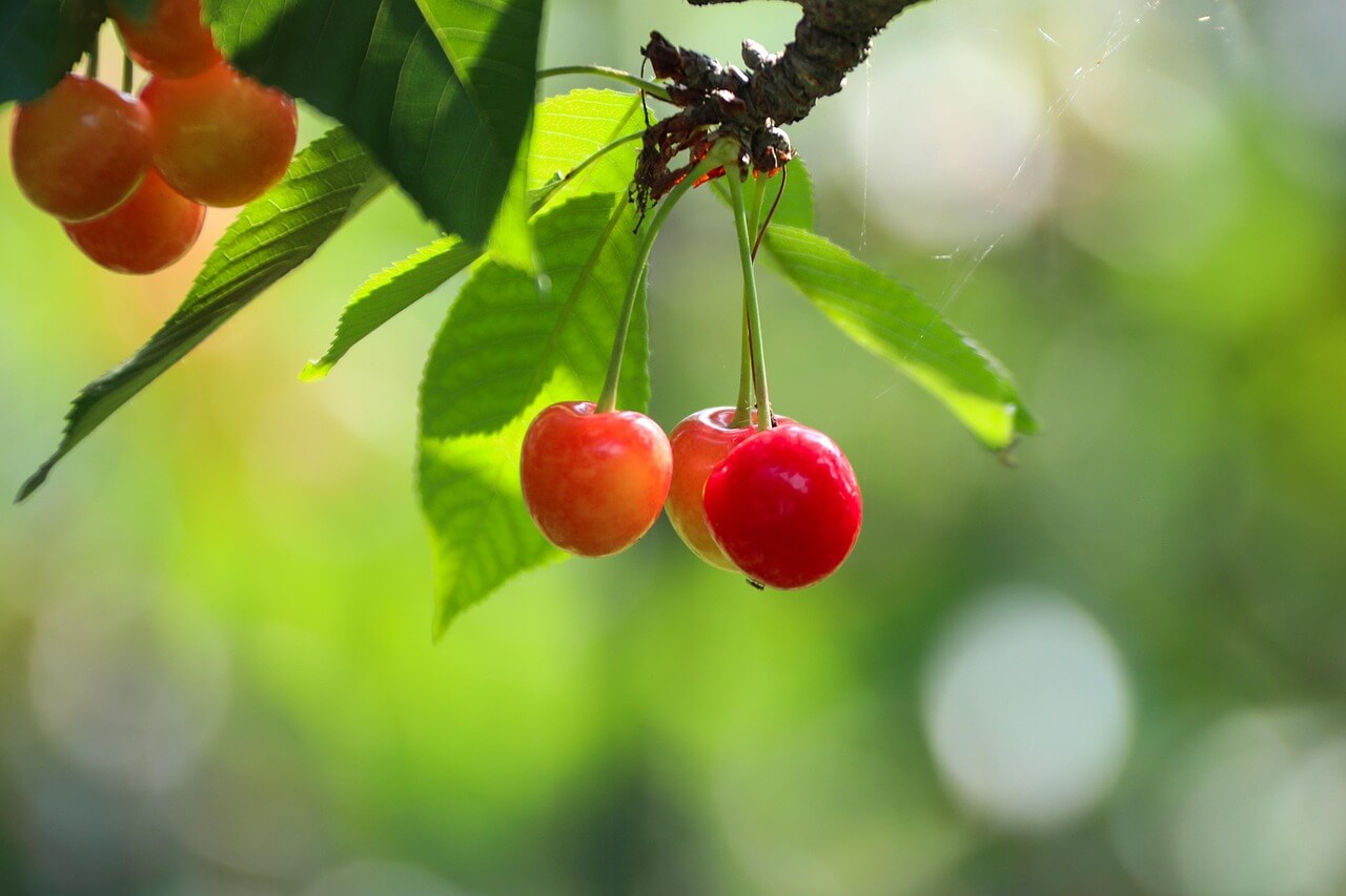대화는 기술이 아니라 관계다