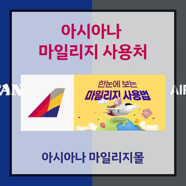 아시아나 마일리지 사용처 마일리지몰