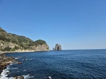 울릉도 가는 방법 여객선 항구 요금 예매 이동수단_11