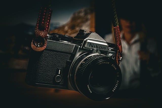 ์ฌ๊ถ์ฌ์ง๊ท์ 