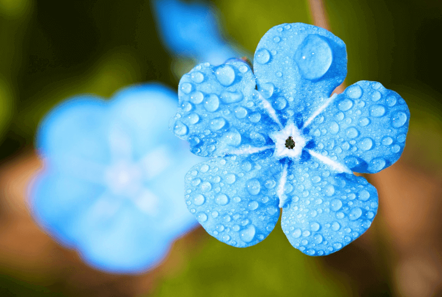 김제시 일상회복지원금-지역경제 활성화의 새로운 희망 관련사진